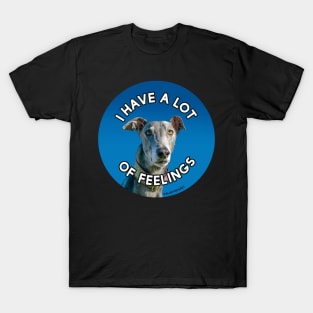 I Have a Lot of Feelings T-Shirt